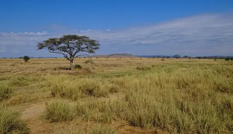 Serengeti National Park