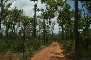 Jardine River National Park