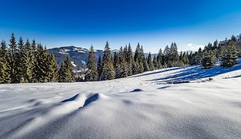 Verkhovyna National Nature Park