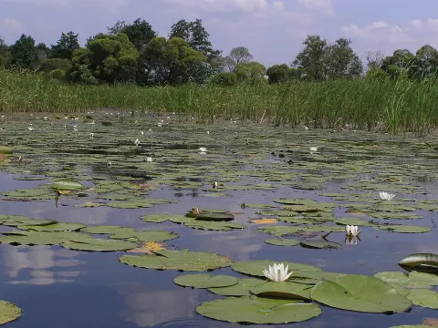 Hetman National Nature Park