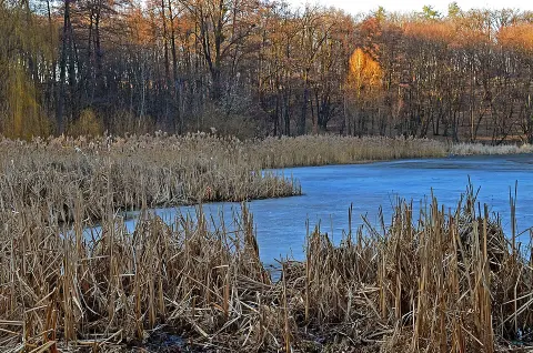 Holosiivskyi National Nature Park