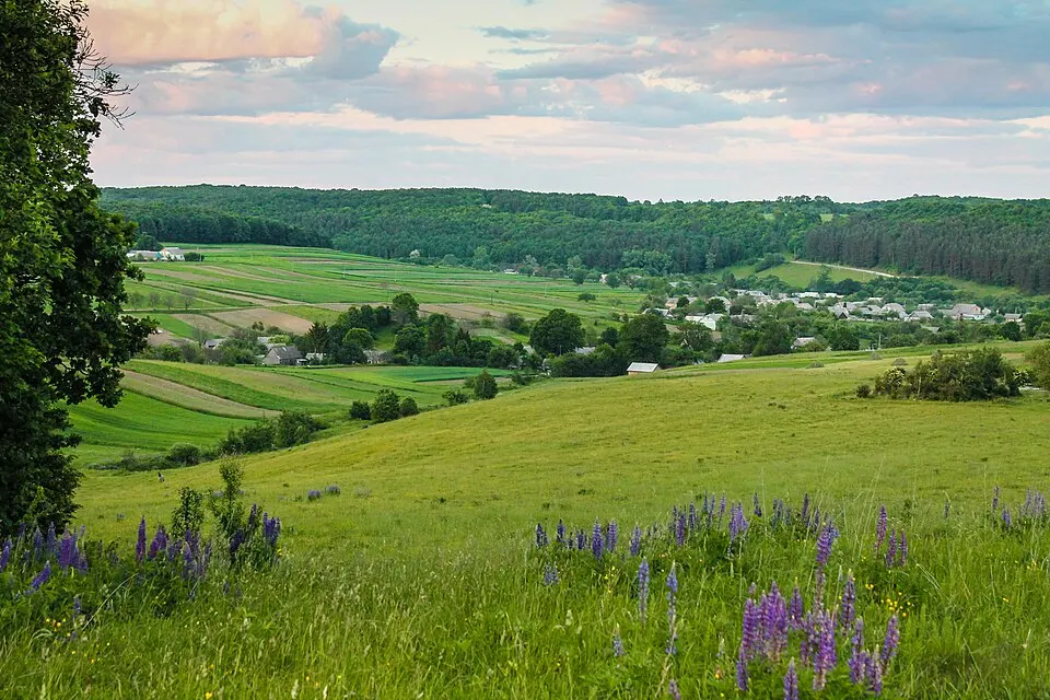 Derman-Ostroh National Nature Park