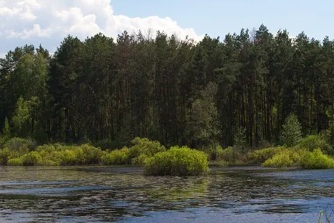 Desna-Stara Huta National Nature Park