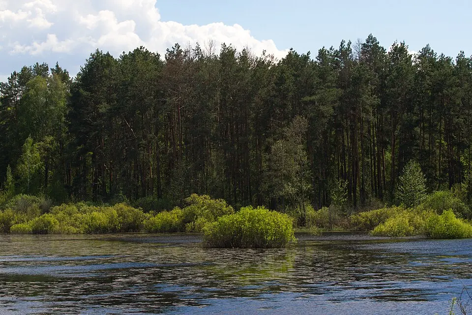 Desna-Stara Huta National Nature Park