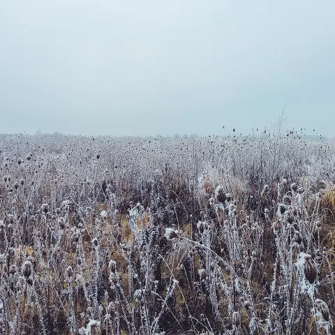 National Nature Park Zalissia