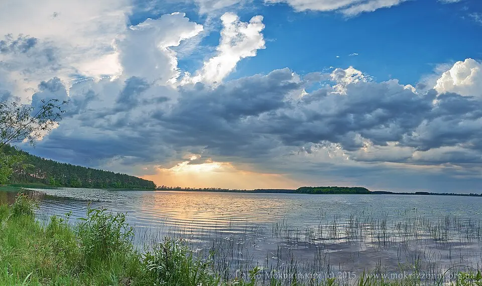 National Nature Park Prypiat-Stokhid