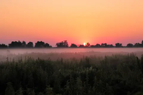 Lower Sula National Nature Park