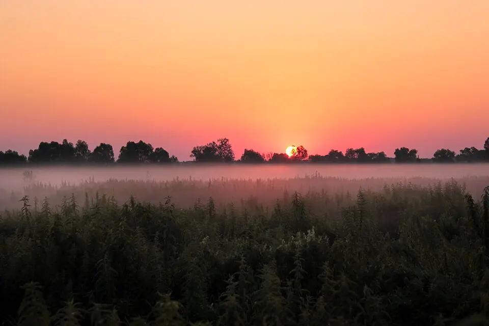 Lower Sula National Nature Park