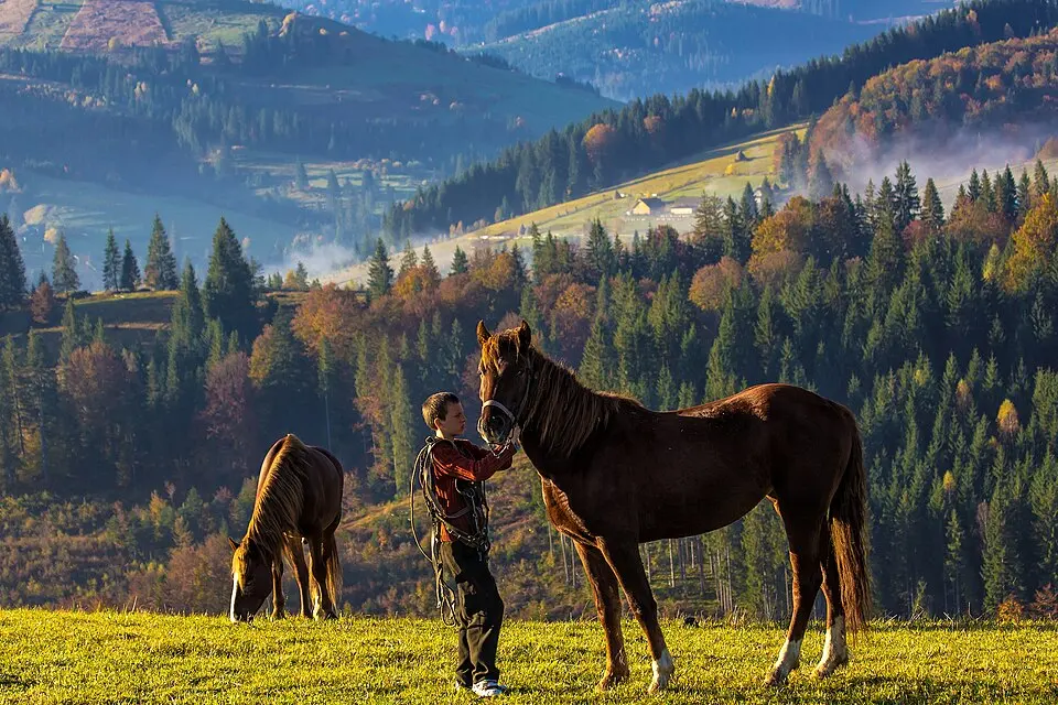 Cheremosh National Nature Park