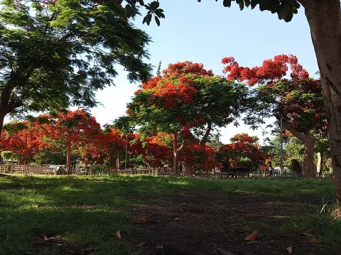 International Park