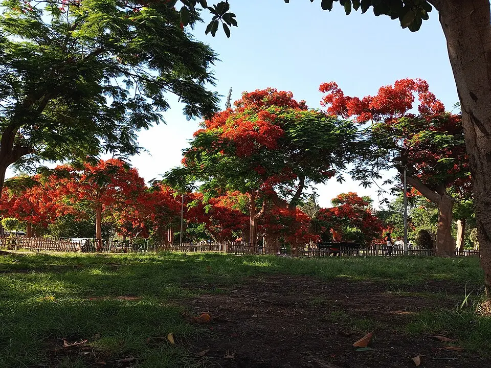 International Park