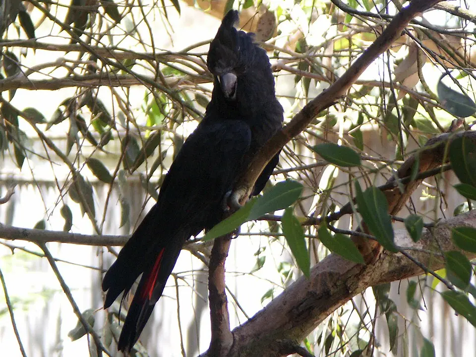 Dipperu National Park
