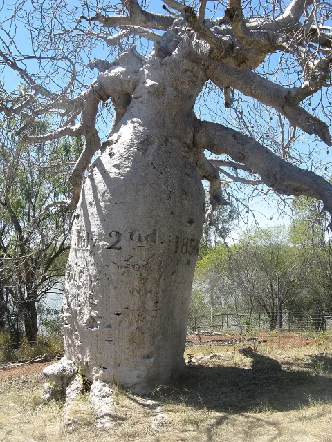 Judbarra / Gregory National Park