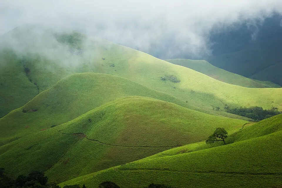 Kudremukh National Park