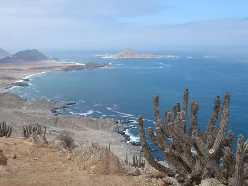Pan de Azúcar National Park