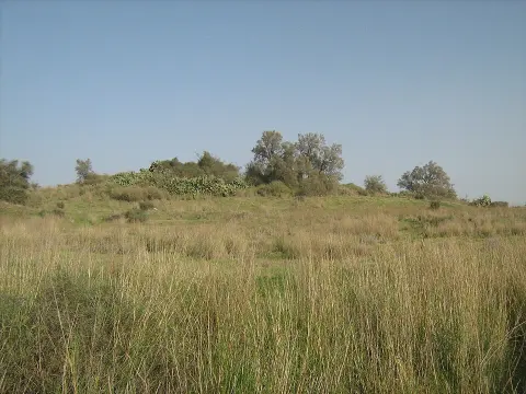 Tel Ashdod