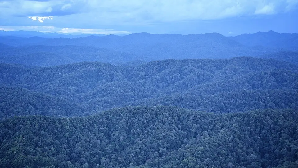 Betung Kerihun National Park