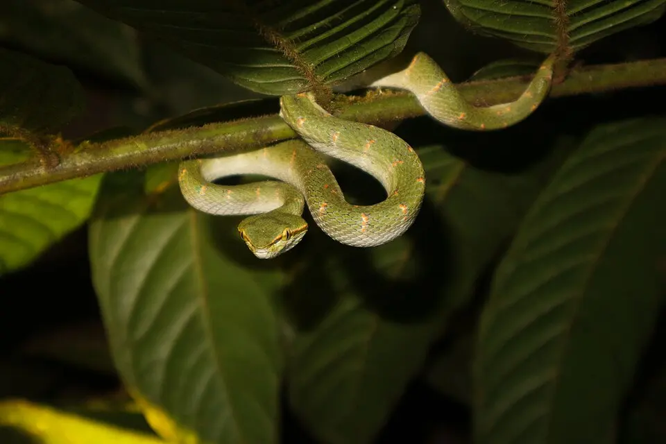 Bukit Baka Bukit Raya National Park