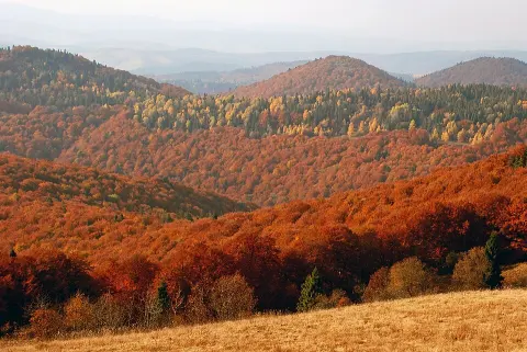 National Nature Park Skole Beskids