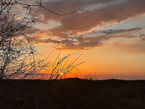Central Kyzylkum National Nature Park