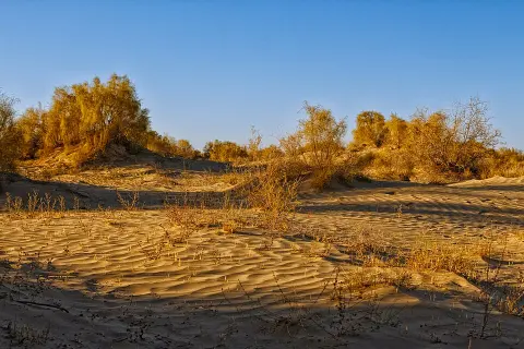 Aralkum National Nature Park