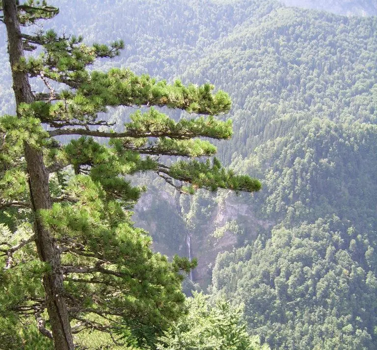Sutjeska National Park