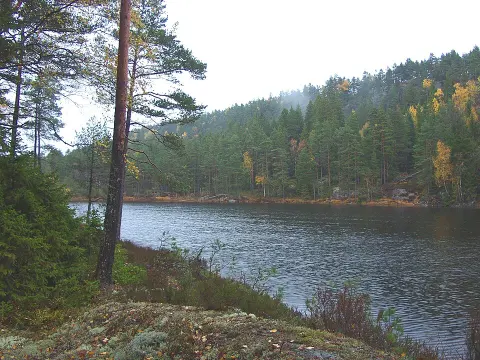 Tresticklan National Park
