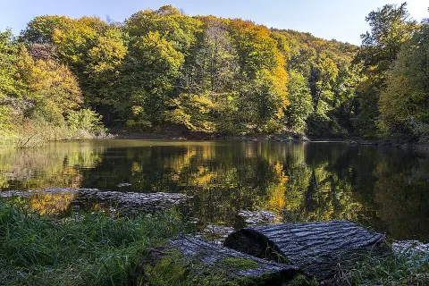 Fruška Gora National Park