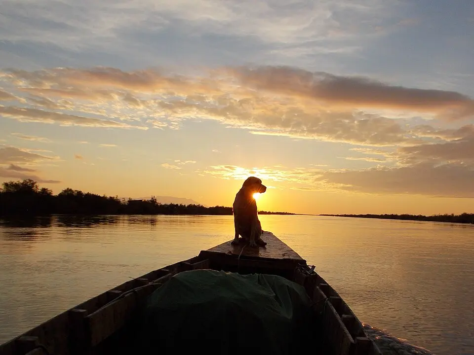 Evros Delta National Park