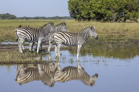 Maputo National Park