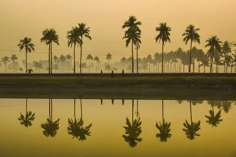 Nijhum Dwip National Park