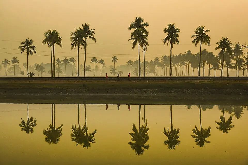 Nijhum Dwip National Park