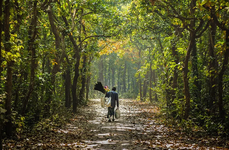 Madhupur National Park