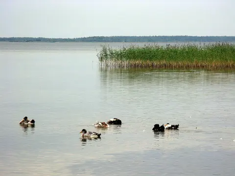Shatsk National Natural Park