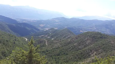 National Park - Fir of Hotova