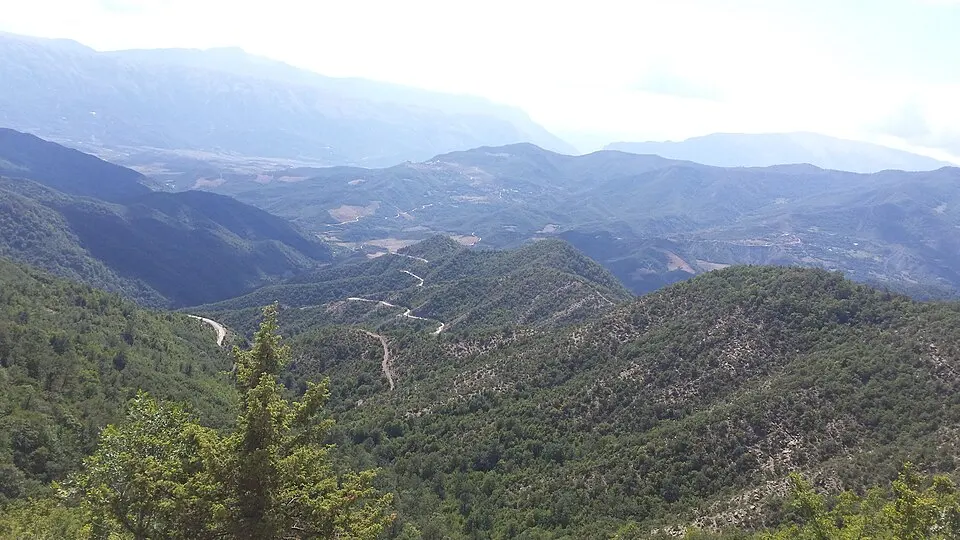 National Park - Fir of Hotova