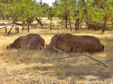Mosi-oa-Tunya National Park