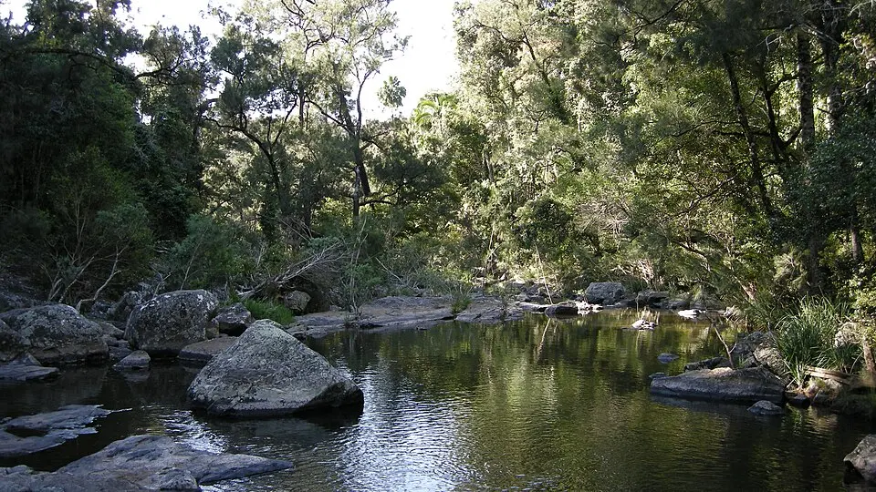 Eungella National Park