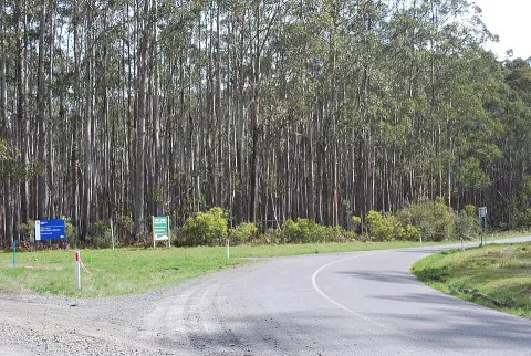 Yarra Ranges National Park