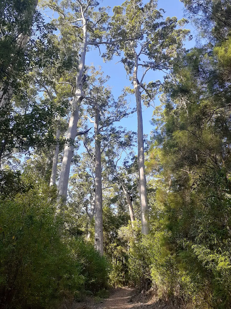 Warren National Park