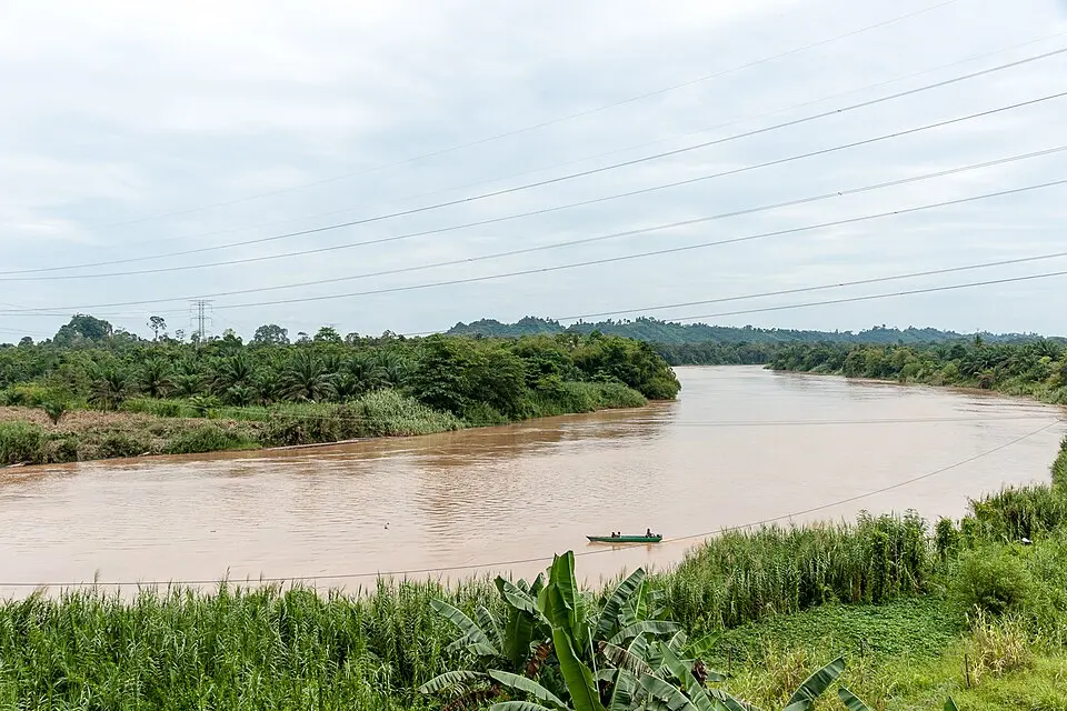 Kinabatangan Wildlife Sanctuary