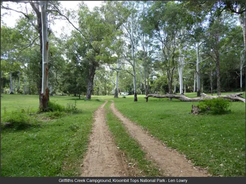 Kroombit Tops National Park