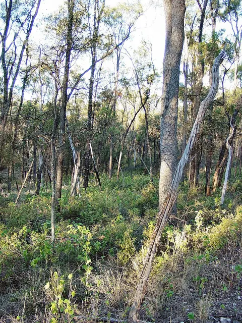 Tregole National Park
