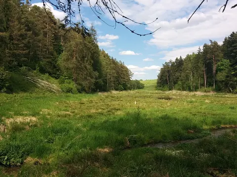 Wischtynezki-Naturpark