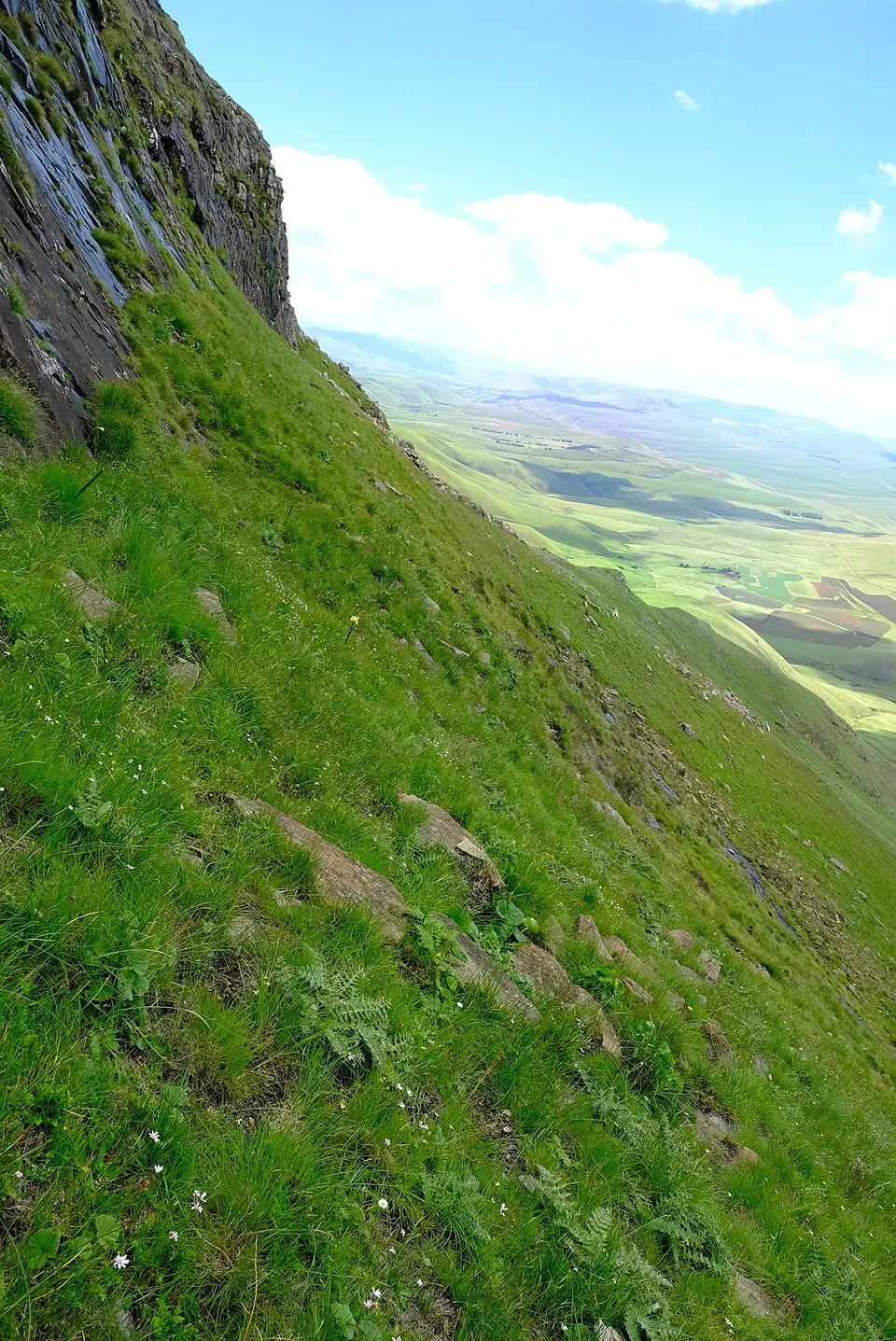 Grassland National Park