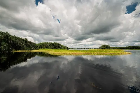 Sabangau National Park