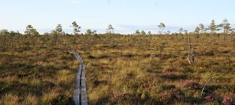 Store Mosse National Park