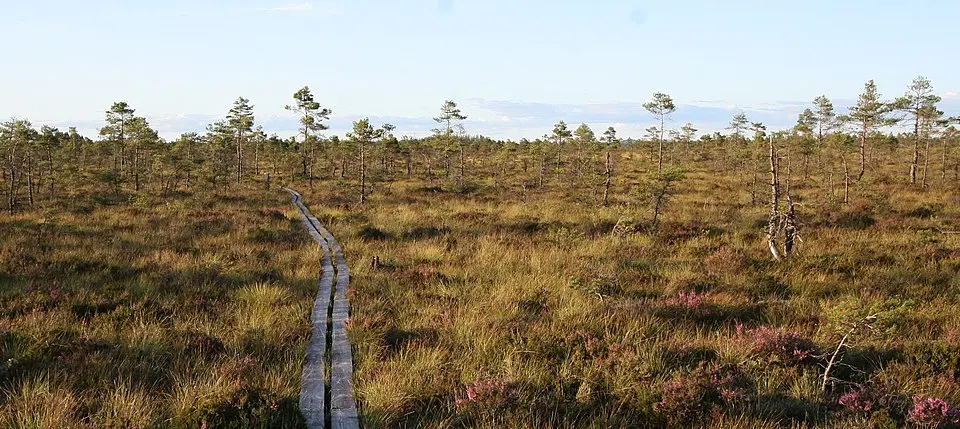 Store Mosse National Park