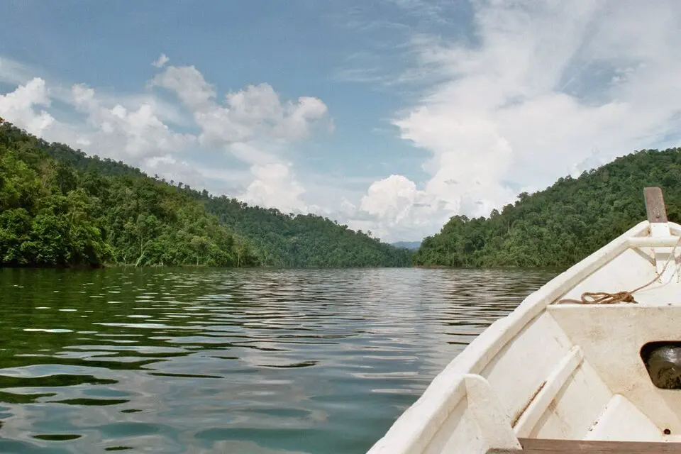 Belum Temenggor Forest Reserve