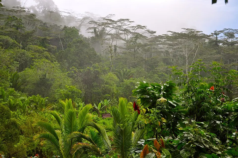 Manusela National Park